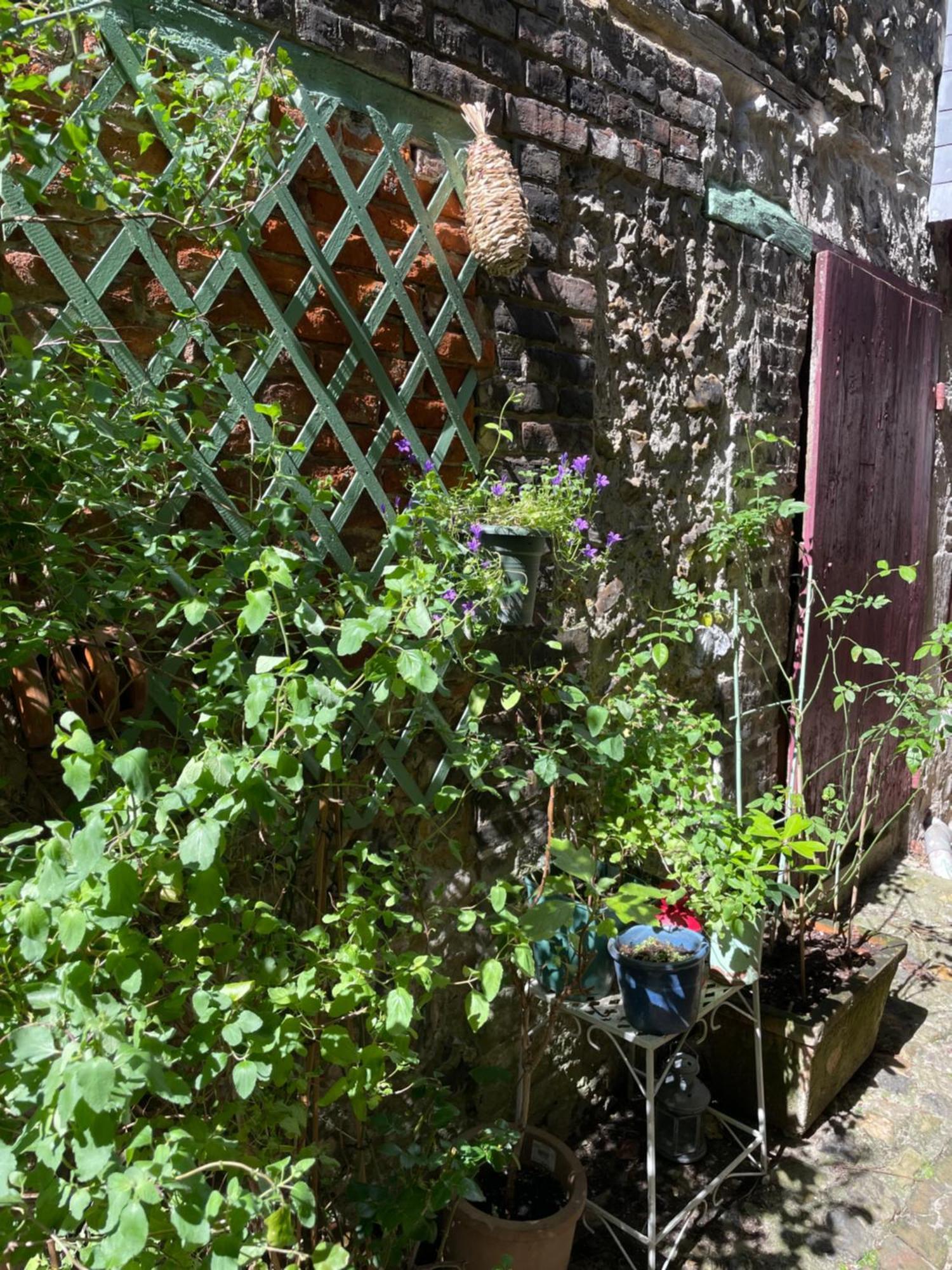 La Maison Belle Maree Honfleur Zewnętrze zdjęcie
